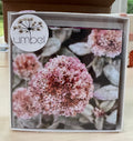 #16 - 2nd Box Set of Greeting Cards - 7