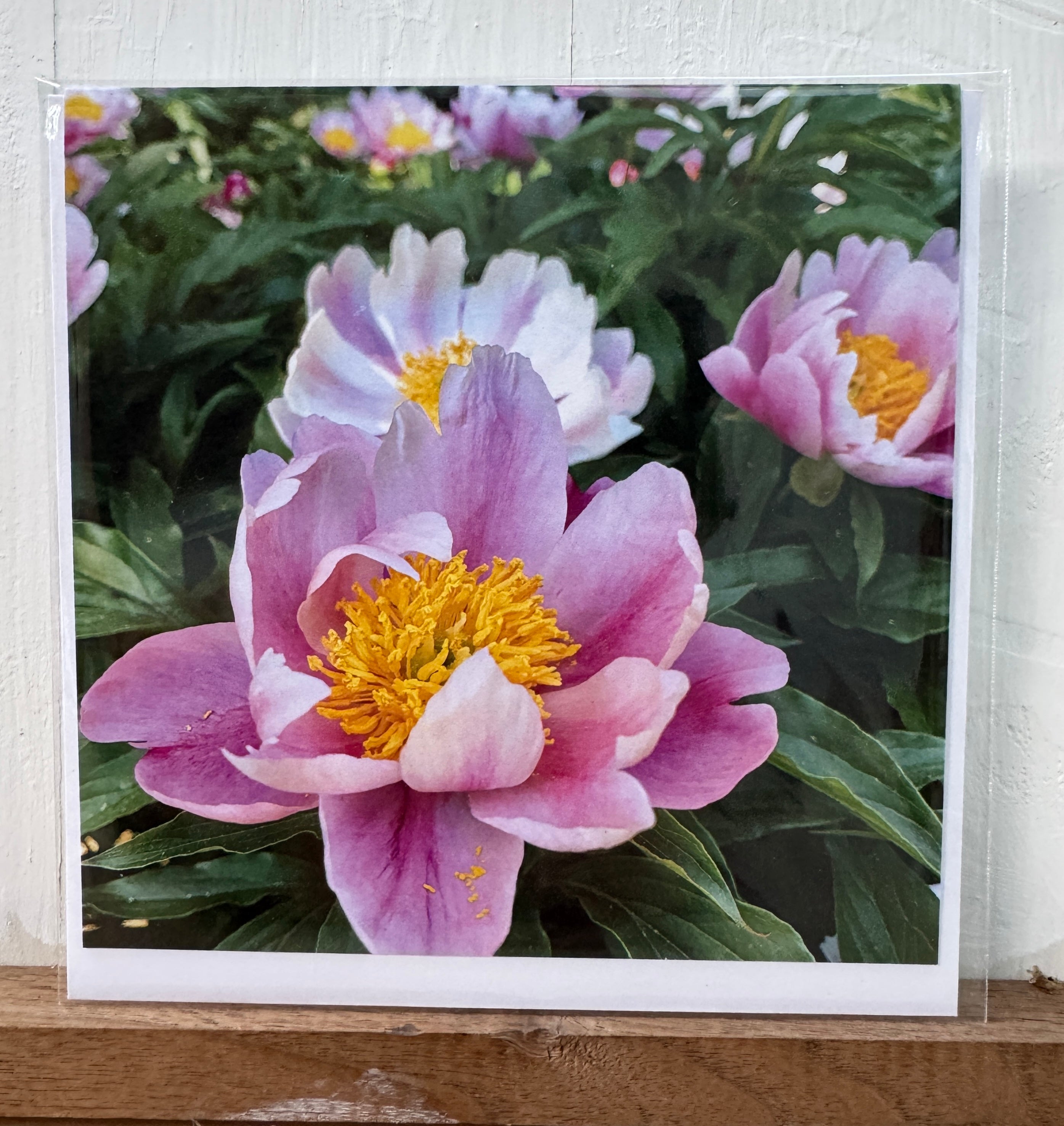 #07 Greeting Card - Peony 3