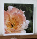 #10 Greeting Card - Peony 4