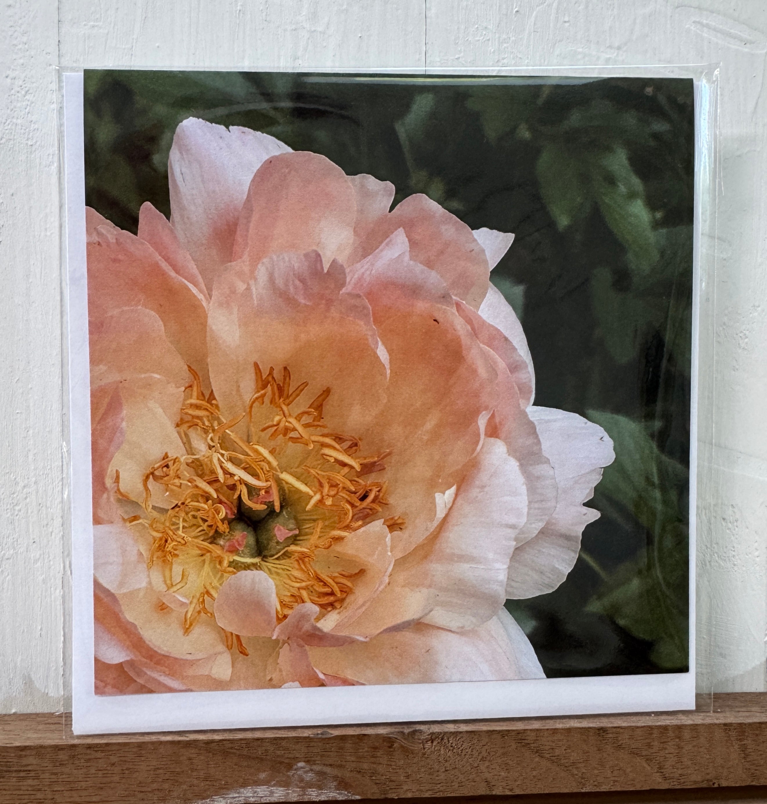 #10 Greeting Card - Peony 4