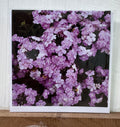 #13 Greeting Card - Purple