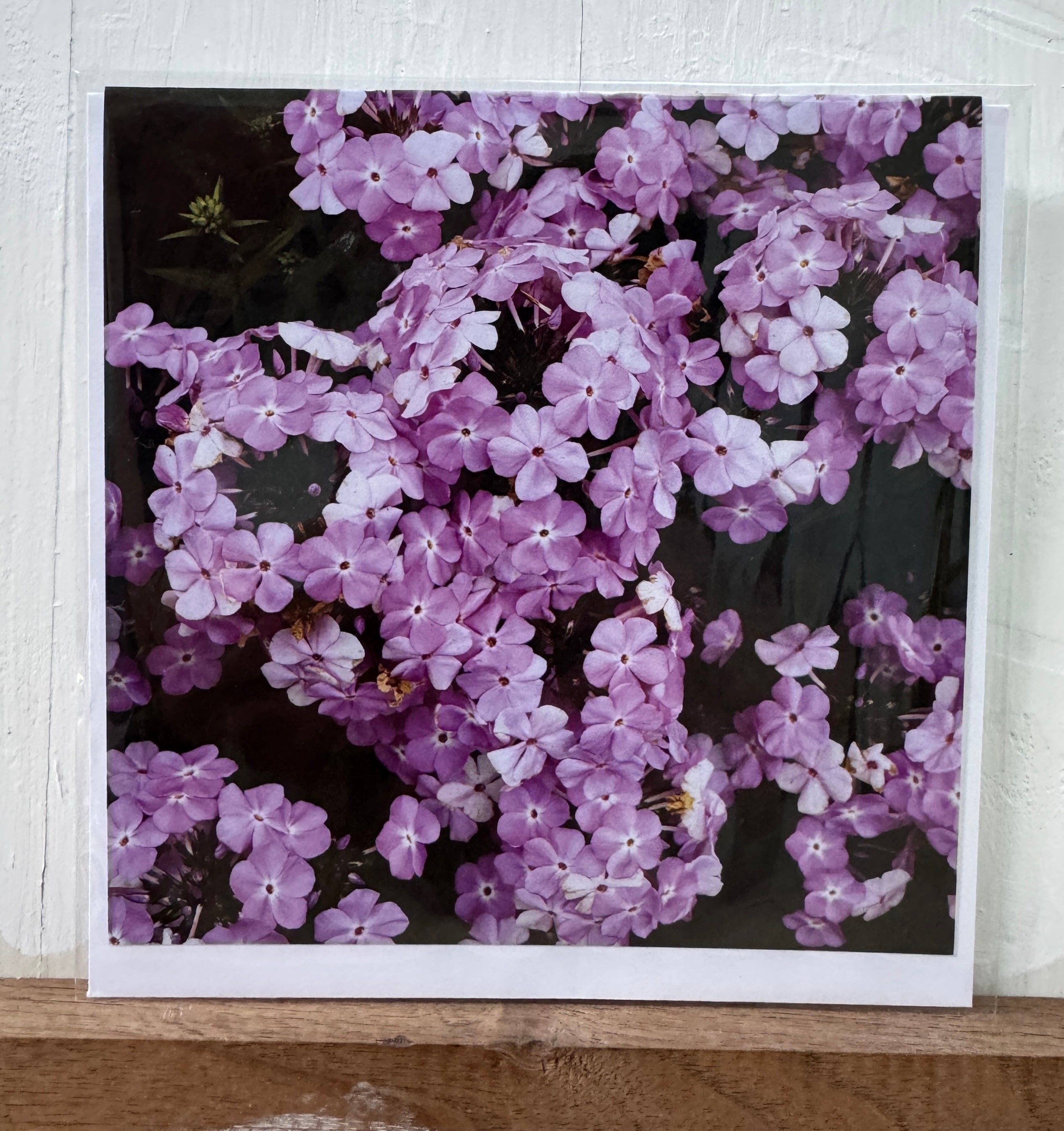 #13 Greeting Card - Purple