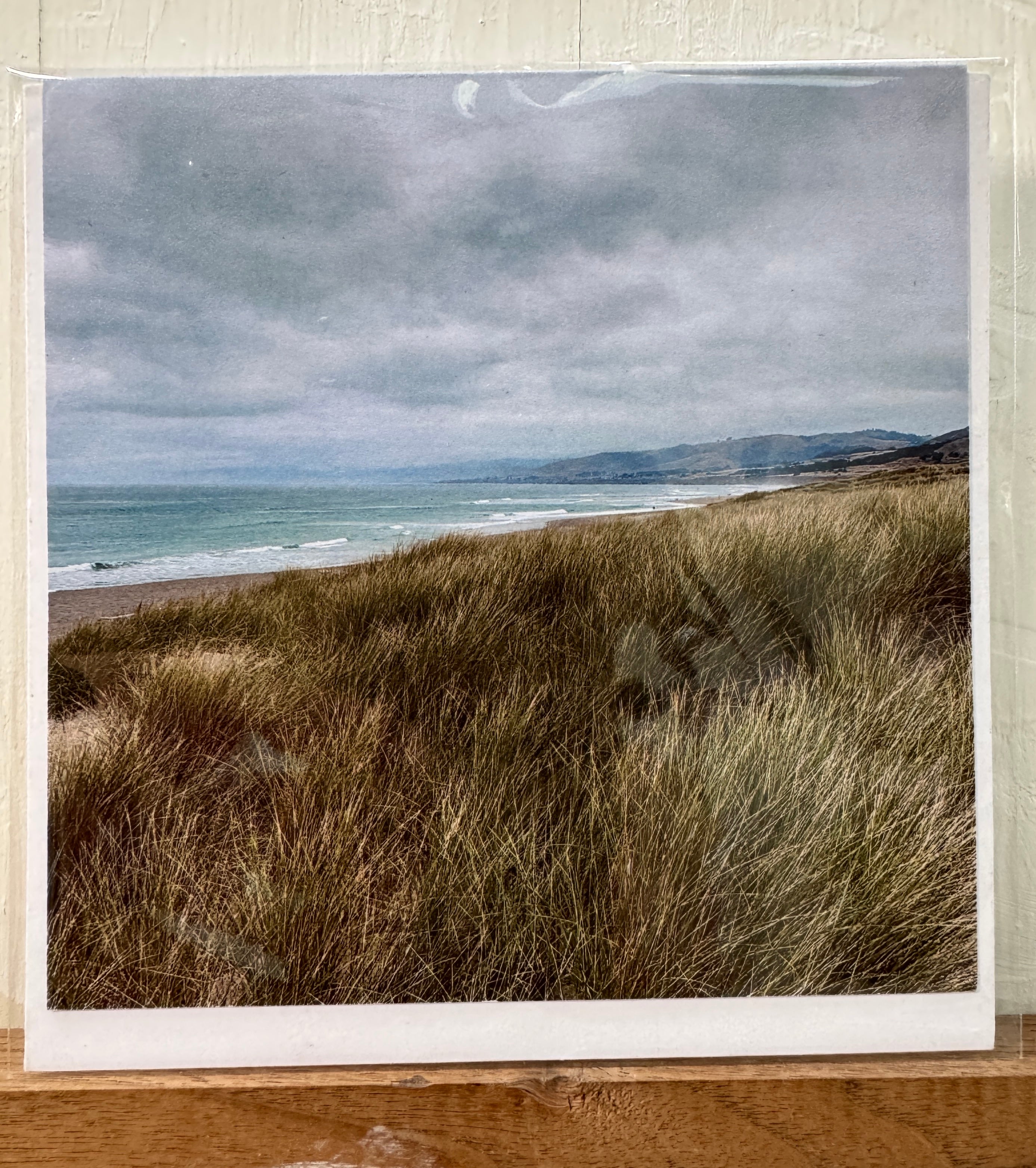 #01 Greeting Card - Salmon Creek