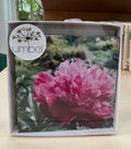 #15 - Box Set of Greeting Cards - 7