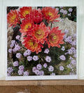 #06 Greeting Card - Cactus