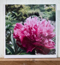 #05 Greeting Card - Peony 2