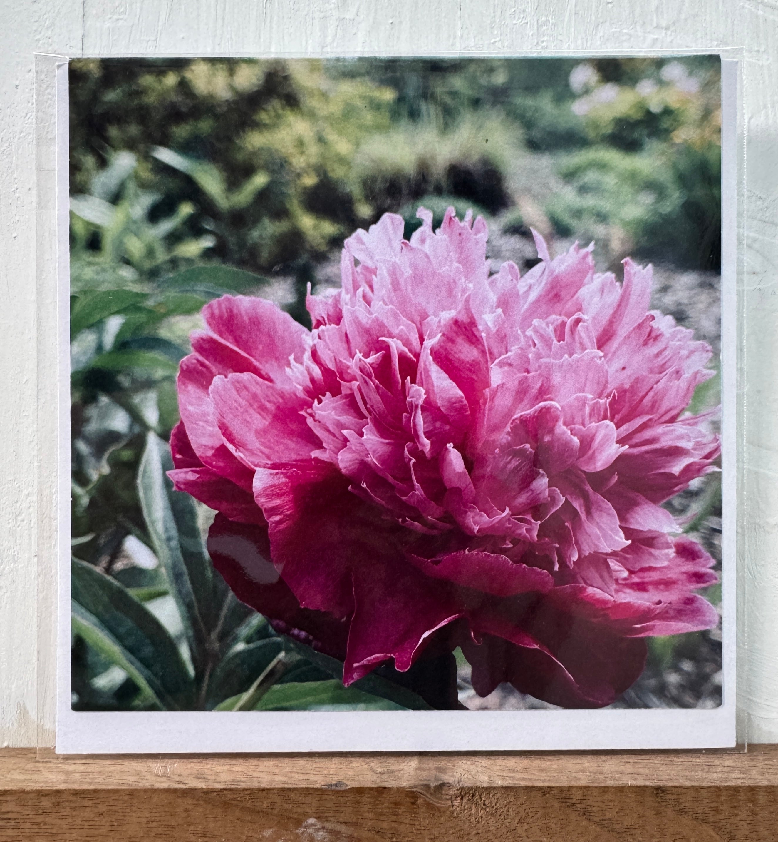 #05 Greeting Card - Peony 2